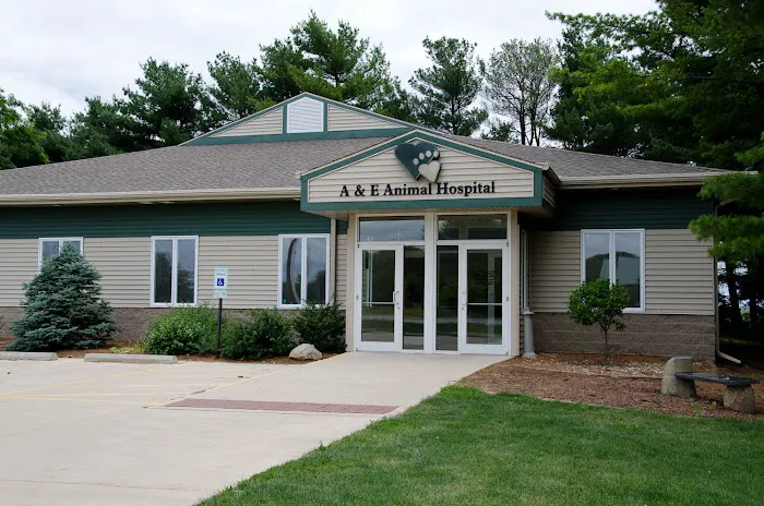 A & E Animal Hospital Picture 2