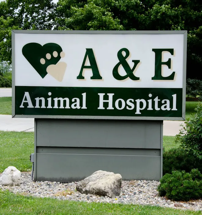 A & E Animal Hospital Picture 6