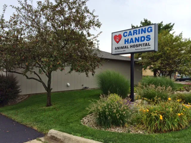 Caring Hands Animal Hospital Picture 8