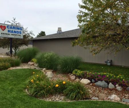 Caring Hands Animal Hospital: Buraglio Rebecca DVM