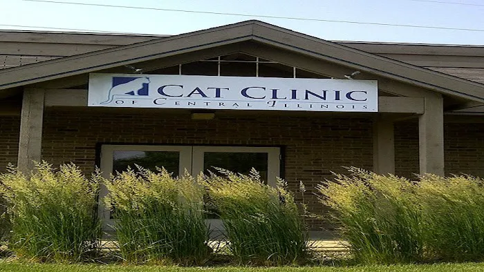 Cat Clinic of Central Illinois Picture 2