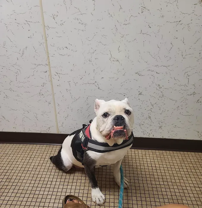 Bradley Animal Hospital Picture 2