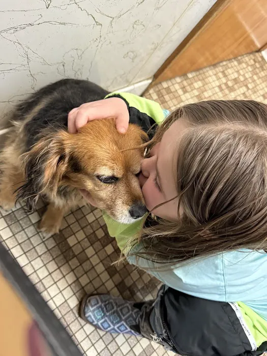 Bradley Animal Hospital Picture 8