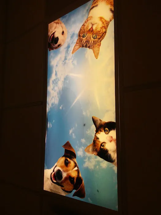 VCA County West Animal Hospital Picture 1