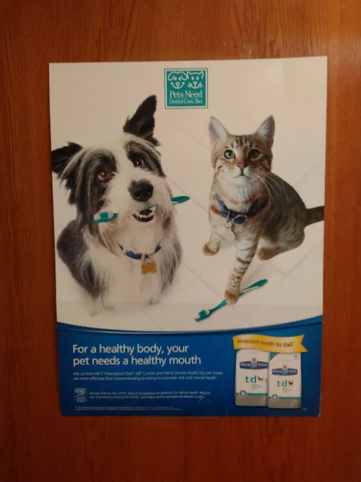 VCA County West Animal Hospital Picture 5