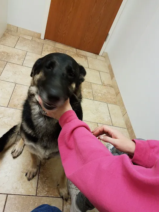 VCA County West Animal Hospital Picture 6