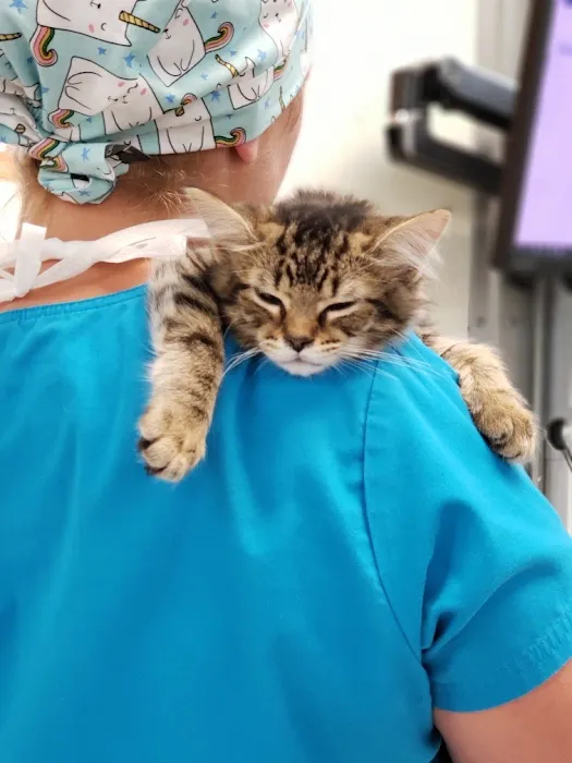 VCA County West Animal Hospital Picture 10