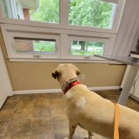 Whitman Veterinary Clinic ico