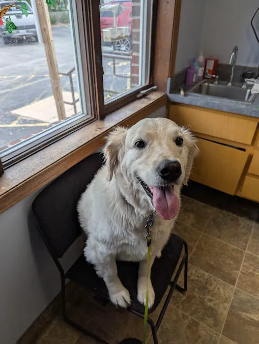 Skinner Animal Clinic Picture 8