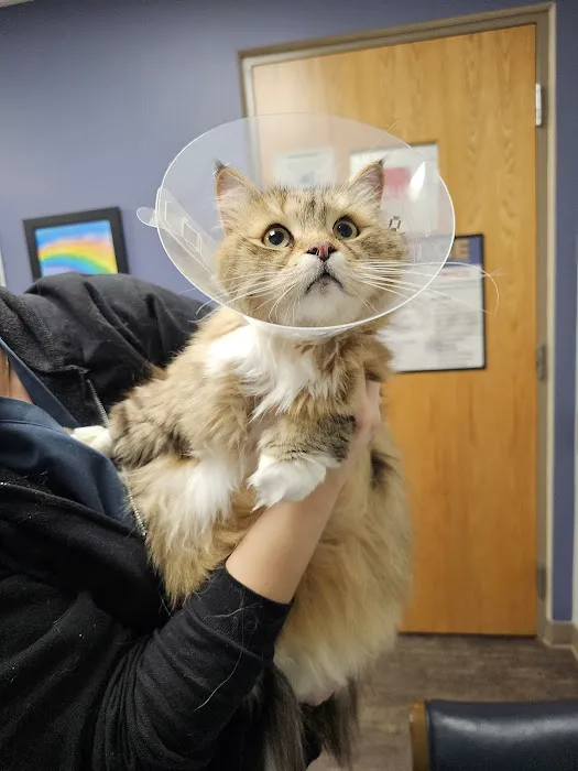 Emergency Veterinary Care Centers Picture 4