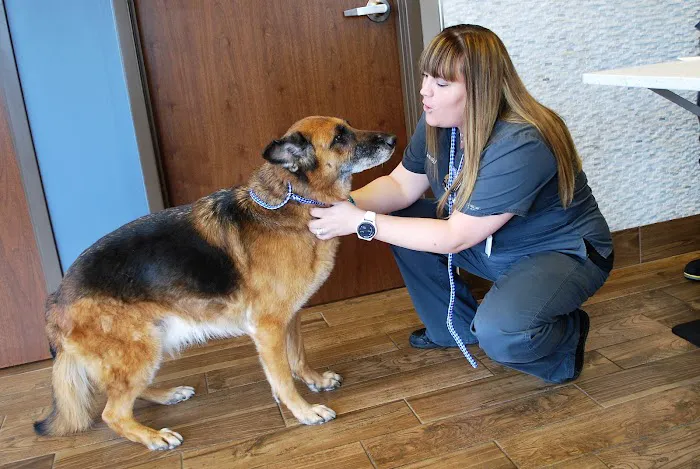 Animal Care Center of Shorewood Picture 8
