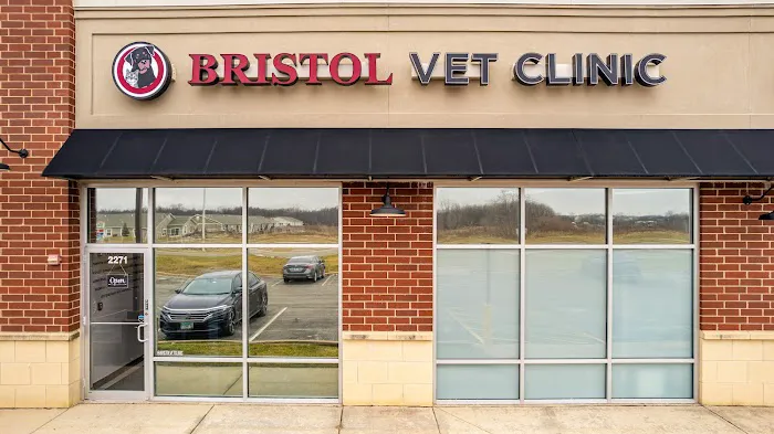 Bristol Veterinary Clinic Picture 10