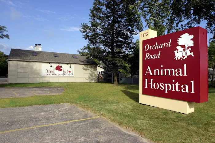 Orchard Road Animal Hospital Picture 6