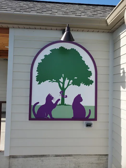 The Cat Clinic of Orchard Road Picture 2