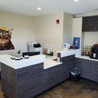 The Cat Clinic of Orchard Road ico