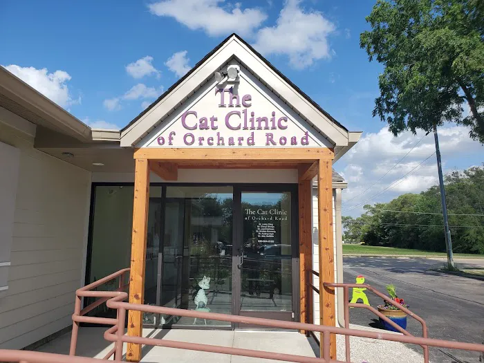 The Cat Clinic of Orchard Road Picture 5