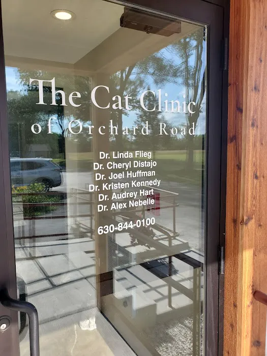 The Cat Clinic of Orchard Road Picture 8