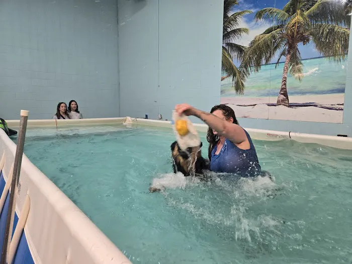 Canine Physical Rehab & Recreation, INC Picture 3