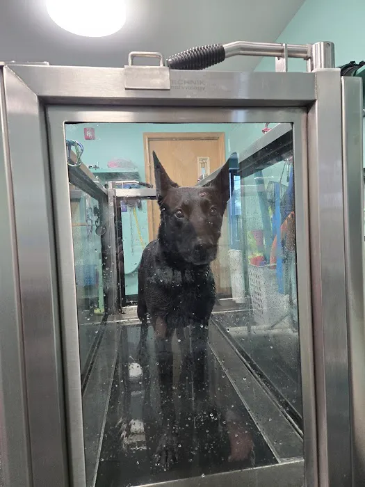 Canine Physical Rehab & Recreation, INC Picture 5