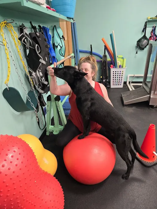 Canine Physical Rehab & Recreation, INC Picture 2