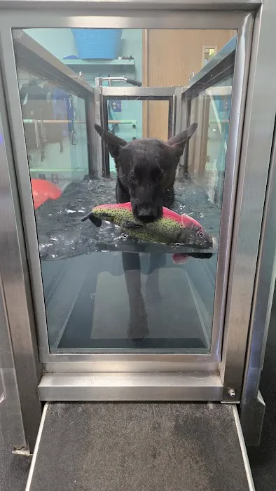 Canine Physical Rehab & Recreation, INC Picture 1