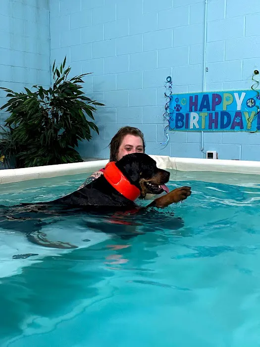 Canine Physical Rehab & Recreation, INC Picture 7