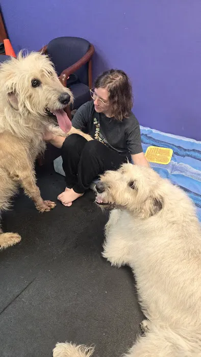 Canine Physical Rehab & Recreation, INC Picture 6