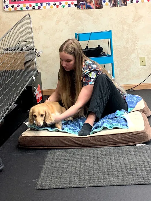 Canine Physical Rehab & Recreation, INC Picture 9