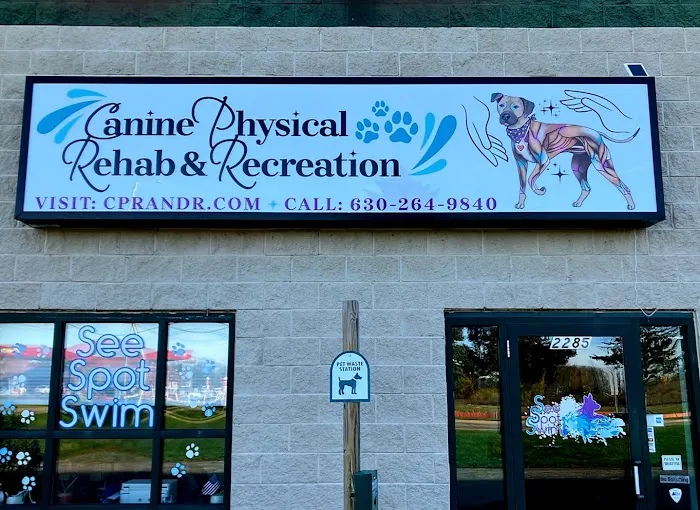 Canine Physical Rehab & Recreation, INC Picture 10