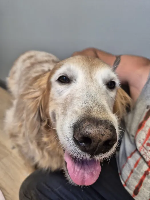 Countryside Veterinary Clinic Picture 4