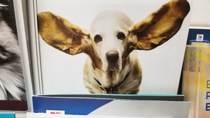 Countryside Veterinary Clinic Picture 10
