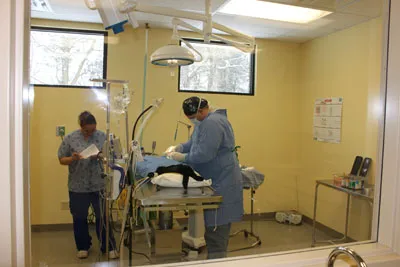 Fox Valley Veterinary Clinic Picture 9
