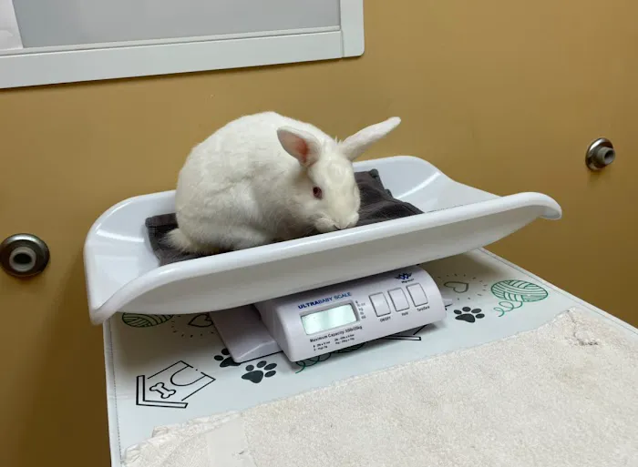 Animal House Veterinary Hospital Picture 6