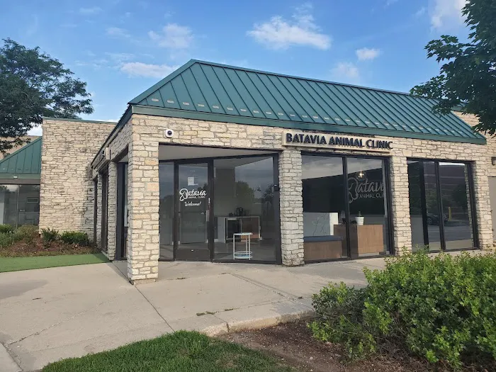 Batavia Animal Clinic Picture 3