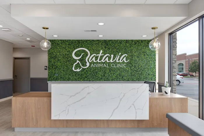 Batavia Animal Clinic Picture 5
