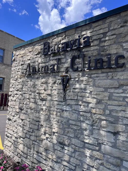 Batavia Animal Clinic Picture 8