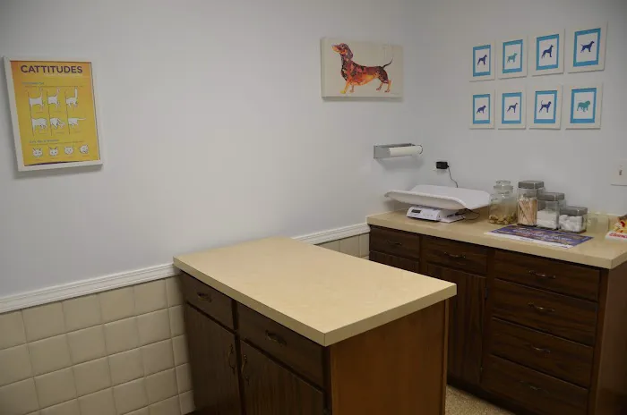 Batavia Animal Clinic Picture 10