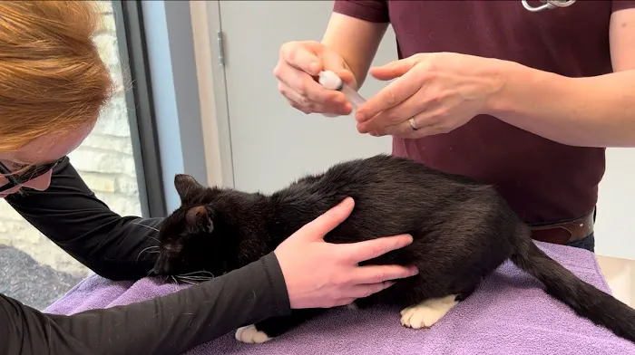 Batavia Animal Clinic Picture 9