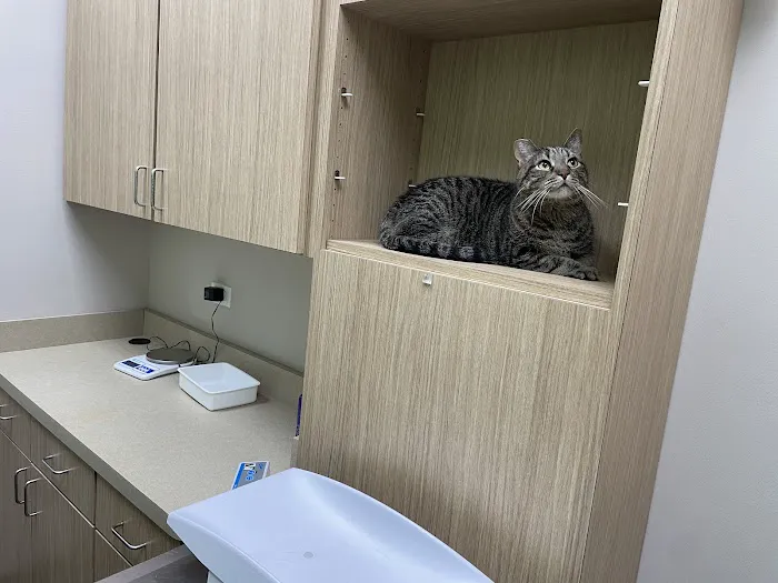 Millbrook Animal Care Clinic Picture 6