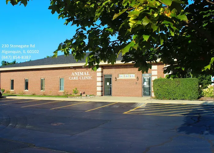 Millbrook Animal Care Clinic Picture 10