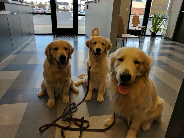 North Hoffman Veterinary Clinic Picture 3