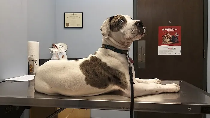 North Hoffman Veterinary Clinic Picture 5