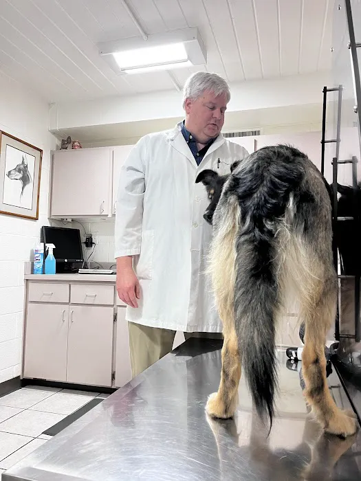 Palatine Animal Hospital Picture 4