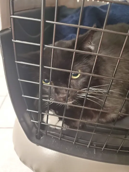 Palatine Animal Hospital Picture 2