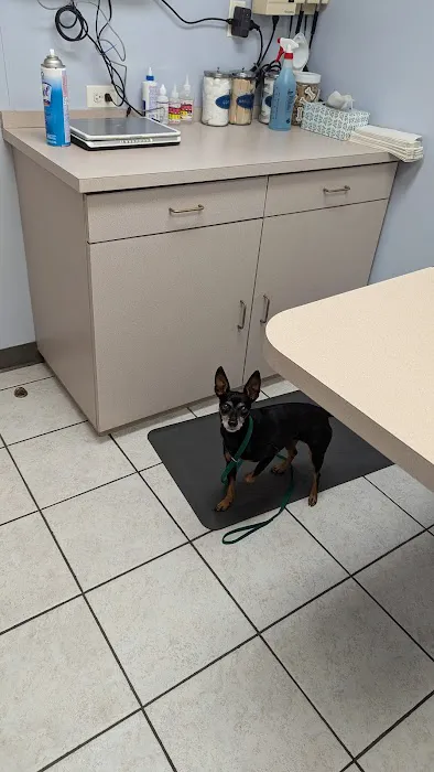 Palatine Animal Hospital Picture 3