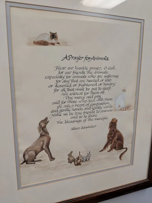 Palatine Animal Hospital Picture 7