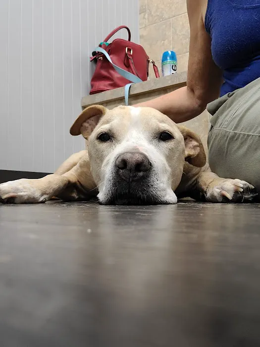 Cobb & Co Veterinary Clinic Picture 6
