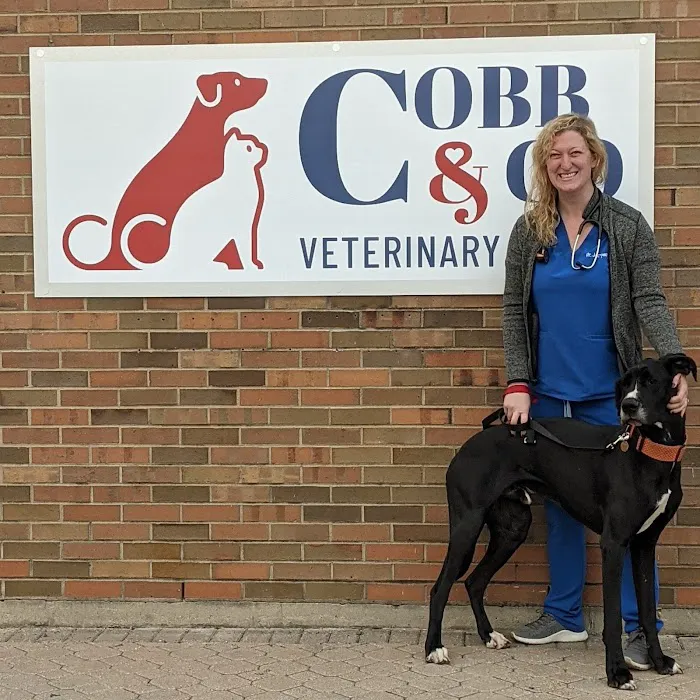 Cobb & Co Veterinary Clinic Picture 7