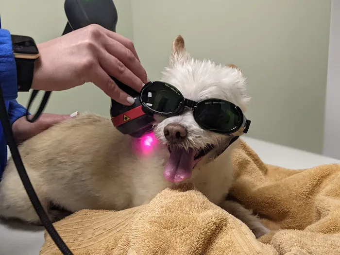 Cobb & Co Veterinary Clinic Picture 9