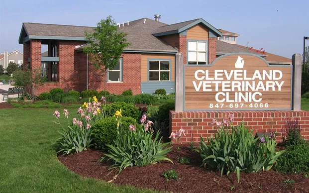 Cleveland Veterinary Clinic Picture 8